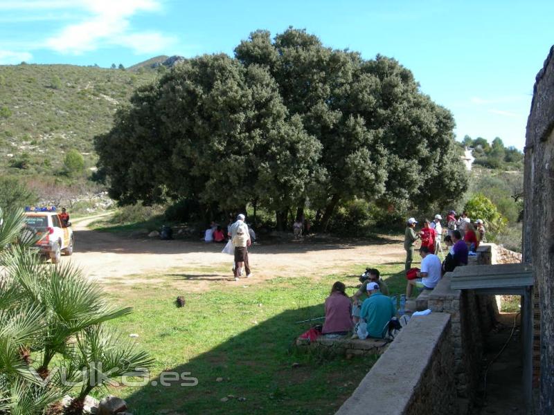 Carrasca de la Vall de Laguar