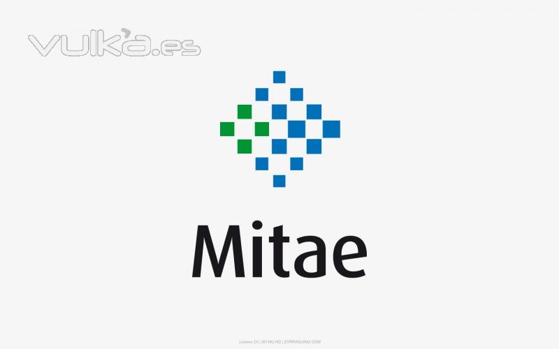 Diseo de Identidad Visual Corporativa para Mitae