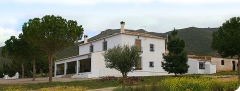 Vista lateral del cortijo