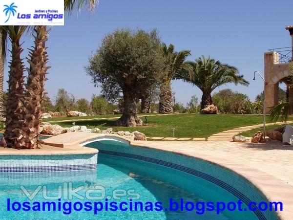 jardines,piscinas,limpieza,poda de palmera,fontaneria,electricidad,albañileria  llamanos tenemos tu oferta y ...