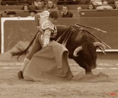 muletazo de el juli