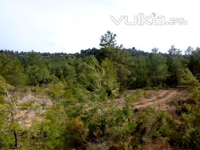 Alrededores de La Quebrada del Molino Viejo