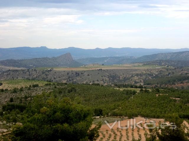 Alrededores de La Quebrada del Molino Viejo