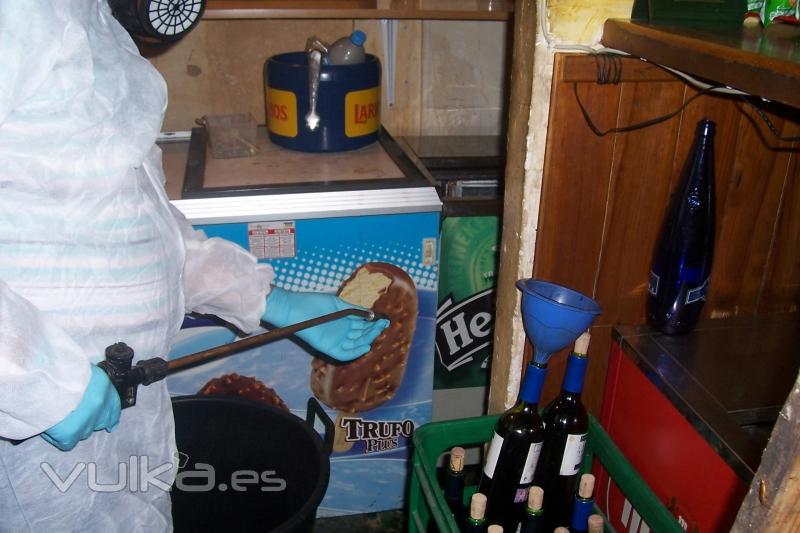 Lloret 3D Tecnico cualificado en control de plagas  Especialistas en tratamientos contra la carcoma y termitas  limpiezas generales