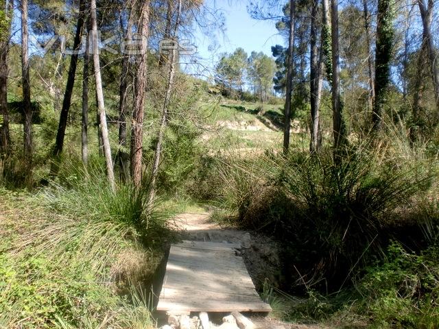 Camino de la Cascada