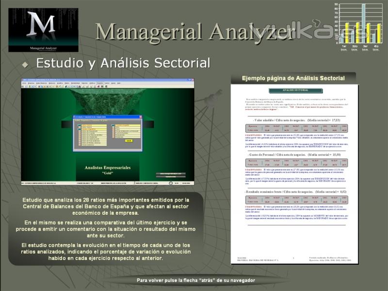 Ejemplo de informe de Análisis Sectorial.