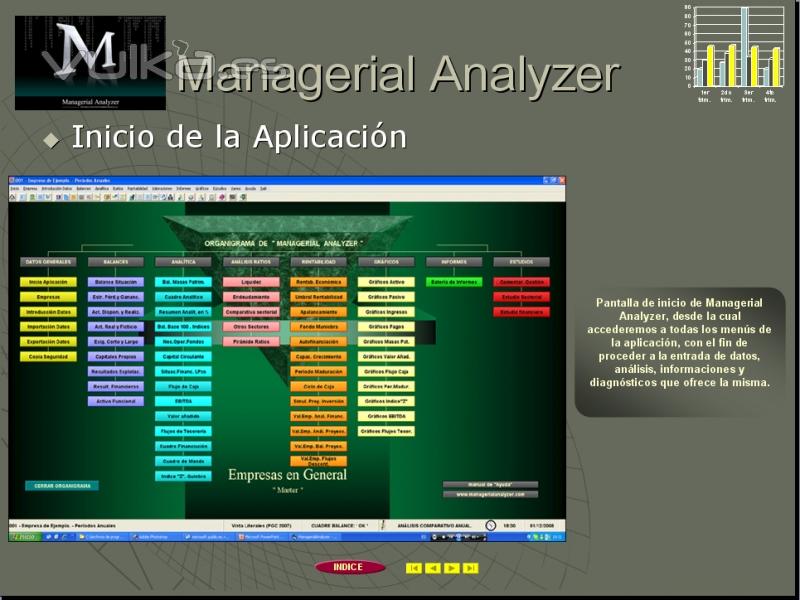 Organigrama de Managerial Analyzer.