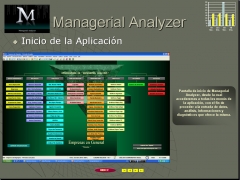 Organigrama de managerial analyzer