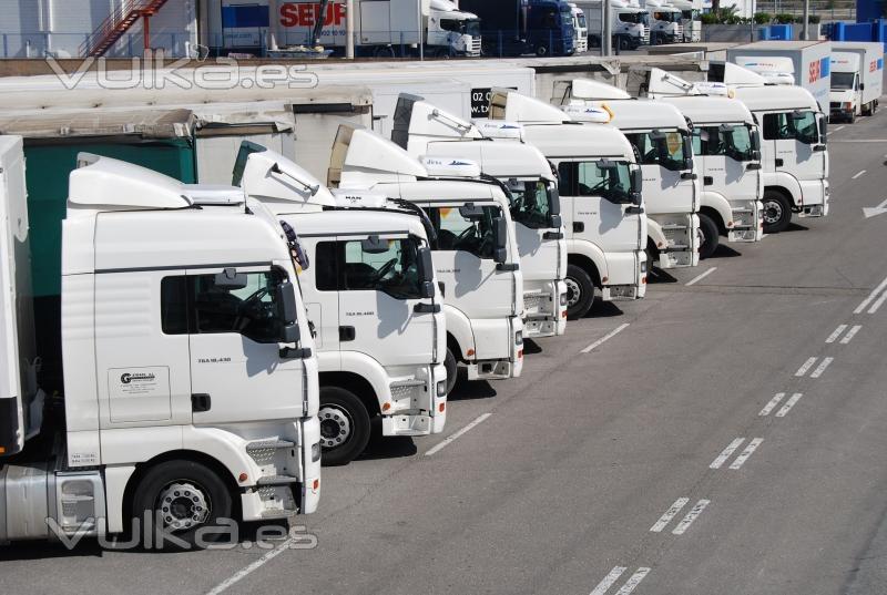 GETRAES S.L  GRUPO EUROPEO DE TRANSPORTES ESCOLANO.