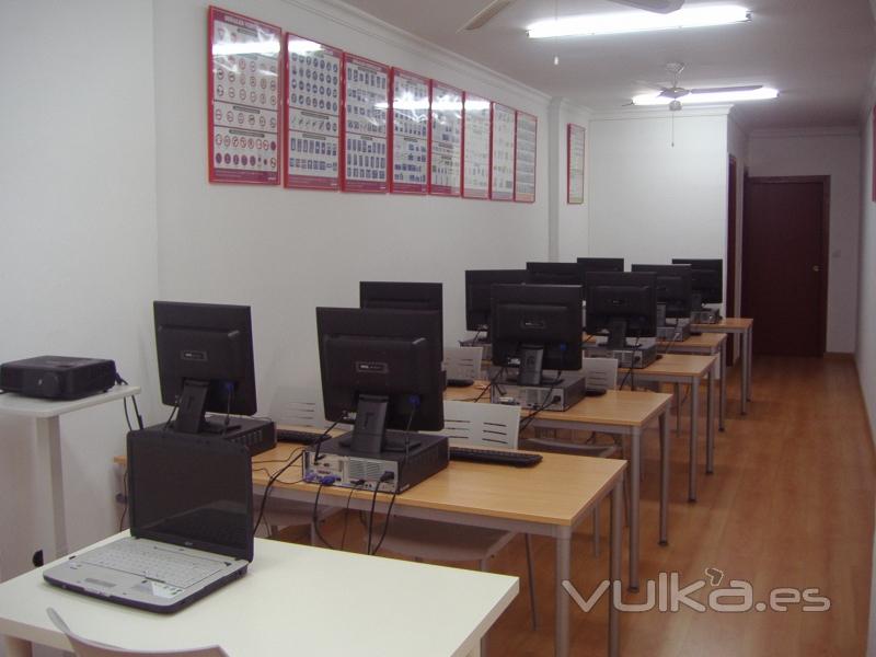 AULA TEORICA MULTIMEDIA