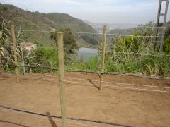 Instalacion de sistema de riego