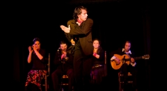 Flamenco in valencia, la buleria, flamenco show in valencia
