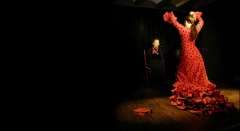 flamenco in valencia, la buleria, flamenco show in valencia