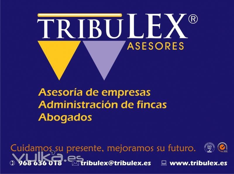 Tribulex. Logo con servicios, slogan y datos contacto