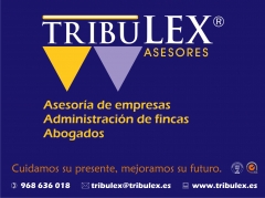 Tribulex logo con servicios, slogan y datos contacto
