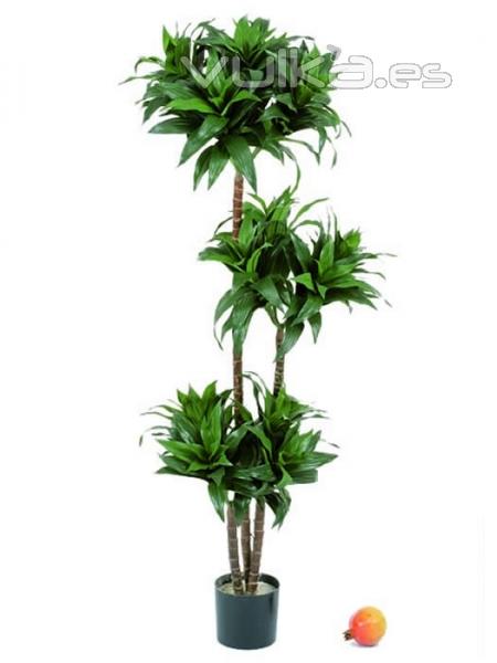 planta artificial.oasisdecor.com dracenas artificiales de calidad