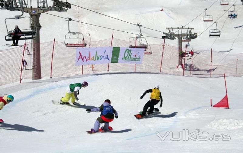 Murcia Snowboard & Ski _ Asoc. de Deportes de Invierno