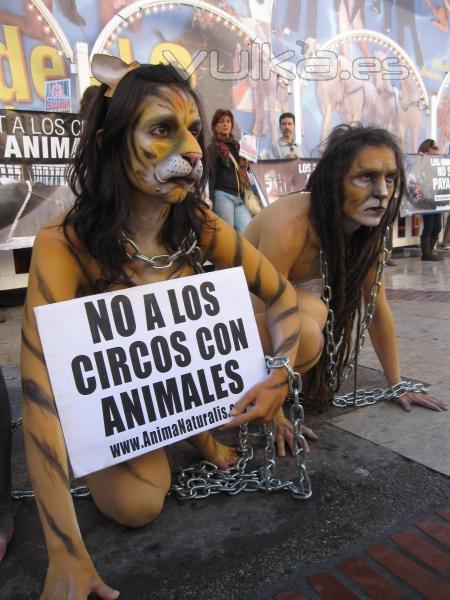 Por un Circo sin Animales, Madrid