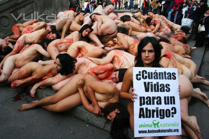 Sin Piel por el fin de uso de pieles animales, Barcelona