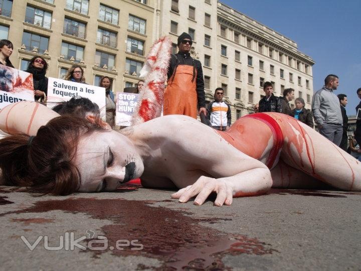 Contra la matanza de focas en Canad, Barcelona