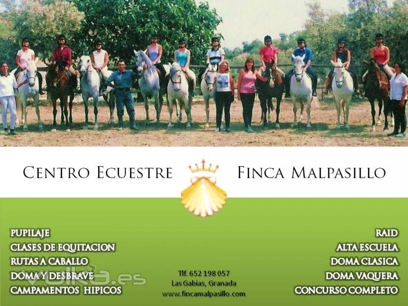 Centro Ecuestre Finca Malpasillo