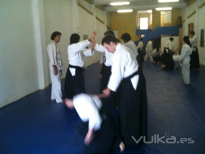Escuela de Aikido  Mutokukandojo
