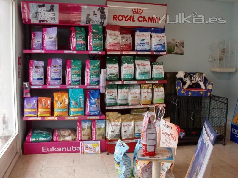 Eukanuba y Royal Cannin