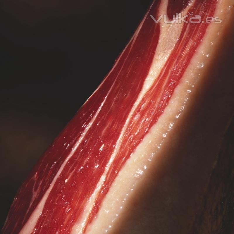 Los mejores jamones ibericos estan en www.sanjamon.com Una pieza de incomparable sabor y aromas,procedente de los ...