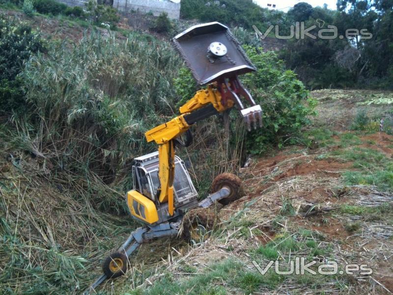 Desbroce de caas en diferentes lugares