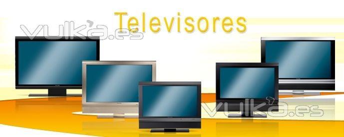 La gama HDTV 40 Plus de TechniSat permite también acceder a la oferta de programas codificados de televisión, ...