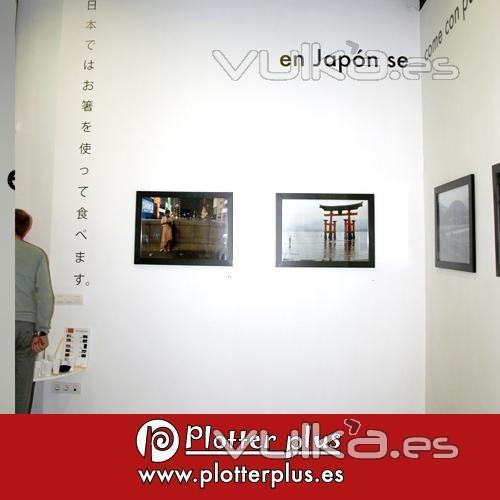 Vinilo de pared troquelado, montado y colocado para la exposición fotográfica de Sandra Sasera 