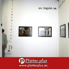 Vinilo de pared troquelado, montado y colocado para la exposicion fotografica de sandra sasera en japon se come