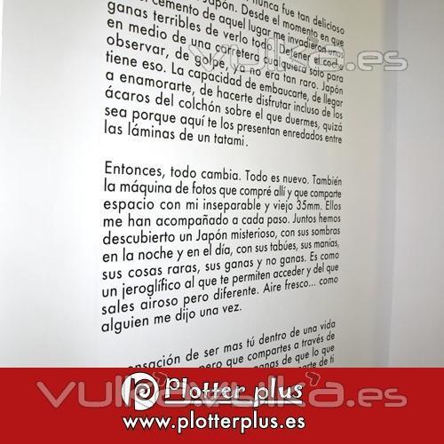 Vinilo de pared troquelado, montado y colocado para la exposicin fotogrfica de Sandra Sasera 