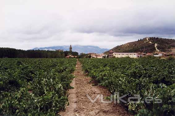 VIA URBINA Y BODEGA