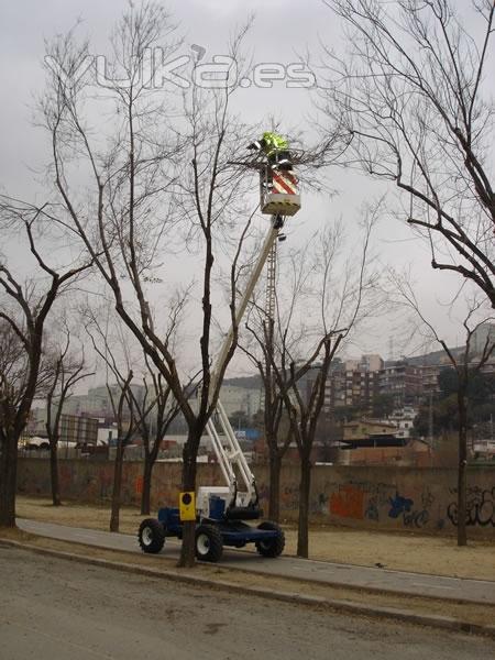 TPX-1200 PODA DEL ARBOLADO EN BARCELONA