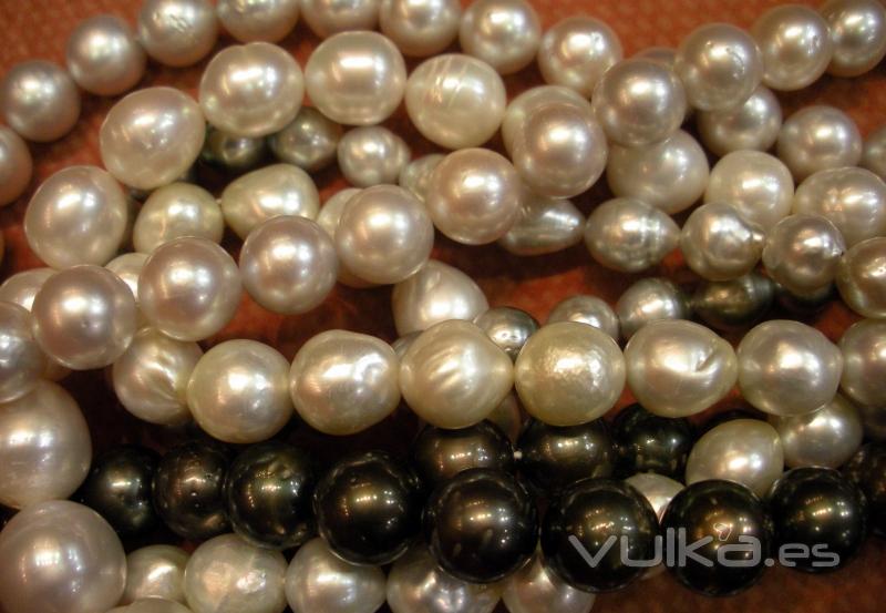 Perlas cultivadas australianas y de Tahit