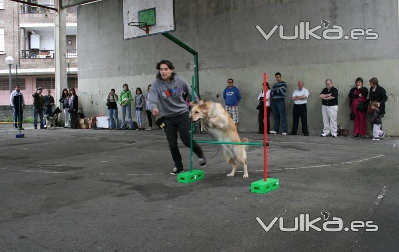 Agility Guipuzcoa,San Sebastian,Irun,ETOLCANIN