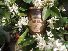 Miel de azahar