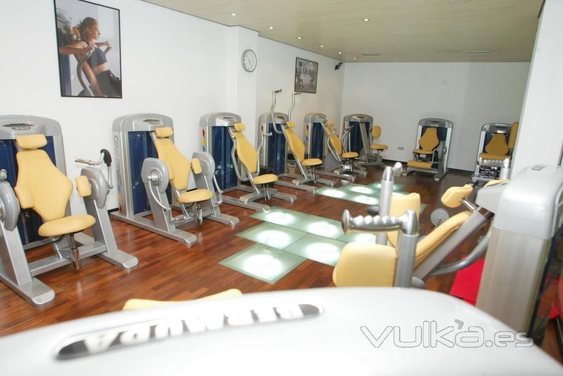 SALA GIMNASIO WELL FIT