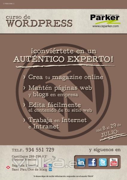 Curso de Wordpress. Inicio prxima convocatoria: 8 de julio.