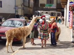 Lama and people in typical clothes