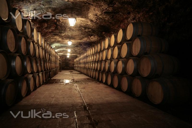 BODEGAS MEGIA E HIJOS, S.L.-CORCOVO-