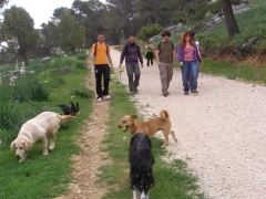 Excursion de socializacion de perros realizada por el entorno natural de el neveral (jaen)