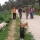 Excursin de Socializacin de perros realizada por el entorno natural de El Neveral (Jan)