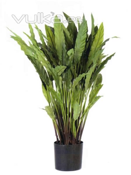 calatea artificial. oasisdecor.com plantas artificiales de calidad