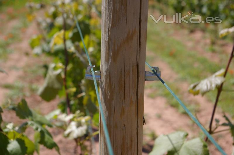 garpillon dinamic otra vista  como guia de alambres en cultivo de espaldera