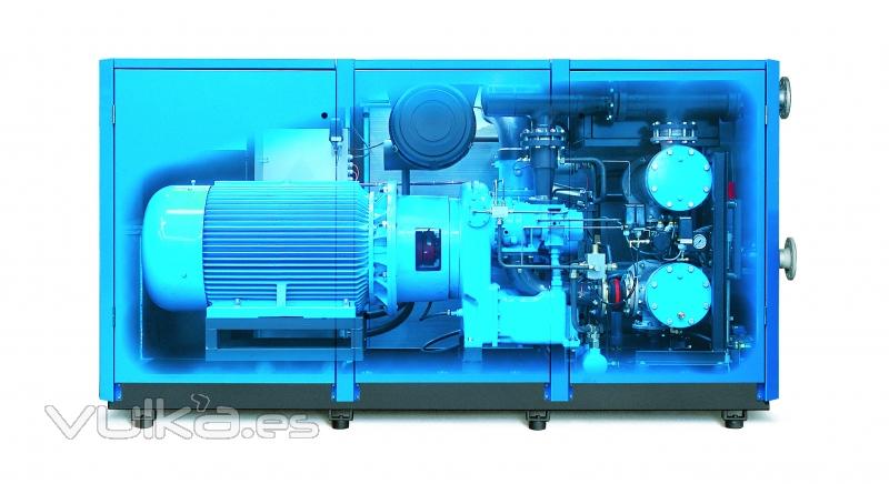 Compresores de tornillo lubricados de hasta 400 kW