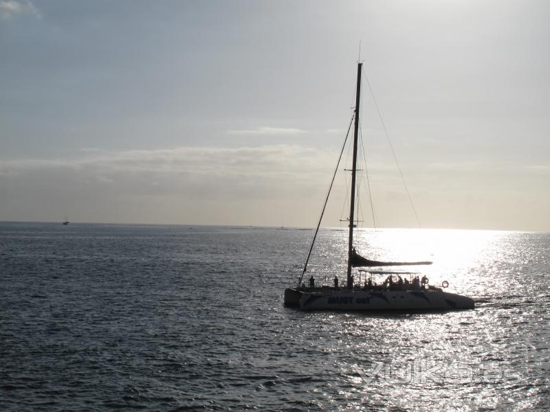 Solo en Tenerife