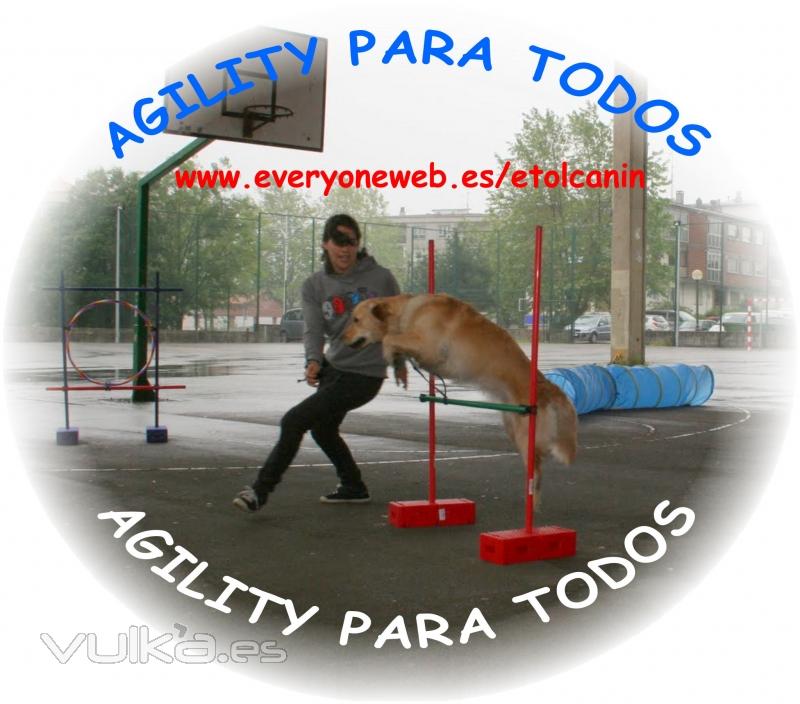 Ven a hacer ejercicio con tu perro y divertiros