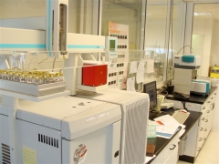 Cromatografo de gases-masas